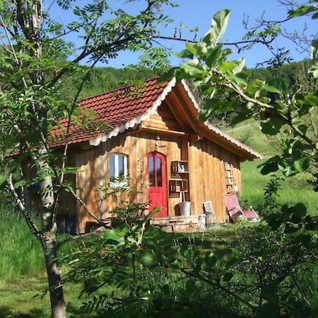 Sonniges-Naturnahes-Schwarzwald-Ferienhaeuschen Welschensteinach Zewnętrze zdjęcie