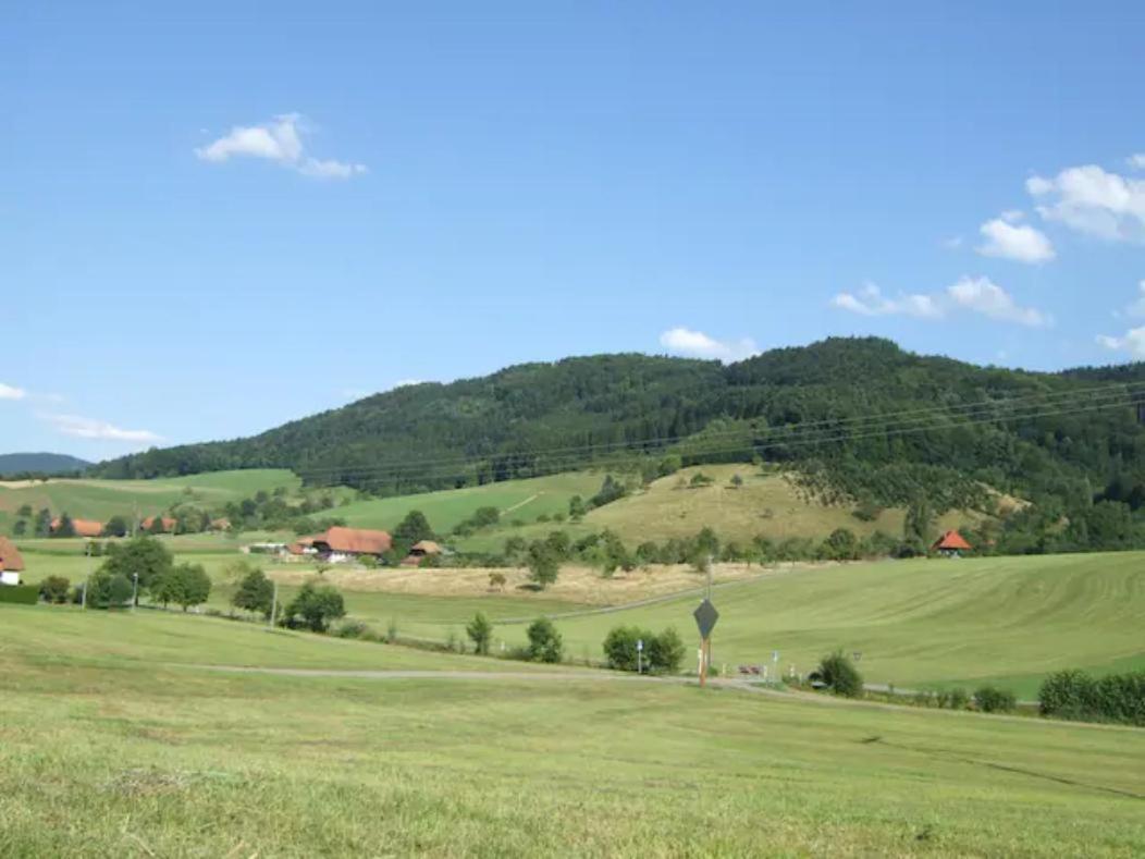 Sonniges-Naturnahes-Schwarzwald-Ferienhaeuschen Welschensteinach Zewnętrze zdjęcie