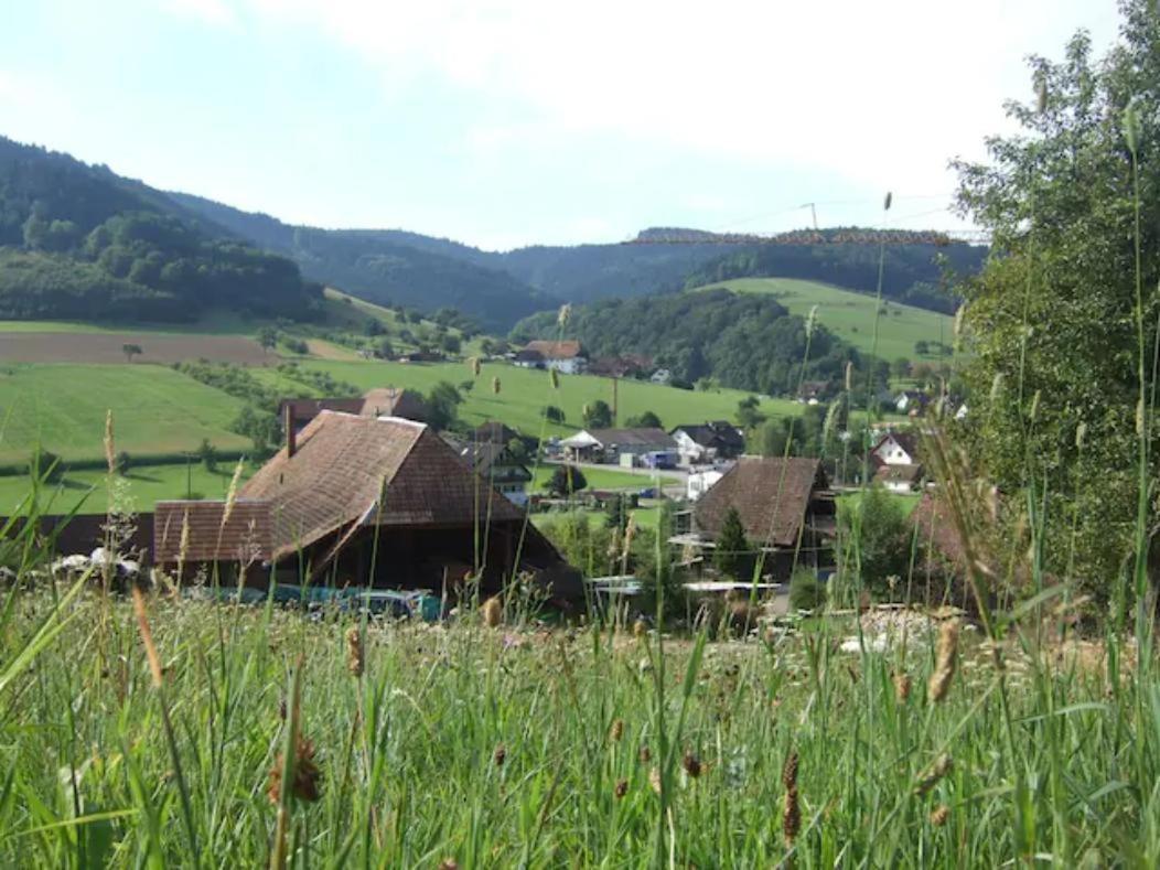 Sonniges-Naturnahes-Schwarzwald-Ferienhaeuschen Welschensteinach Zewnętrze zdjęcie